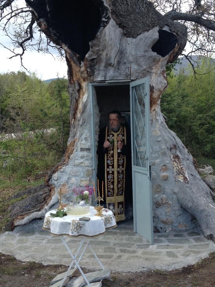 Άγιος Παΐσιος: Χιλιάδες πιστοί επισκέπτονται το εκκλησάκι που χτίστηκε σε δέντρο