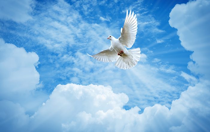 Αργίες 2022: Πλησιάζει η γιορτή του Αγίου Πνεύματος - ΕΚΚΛΗΣΙΑ ONLINE