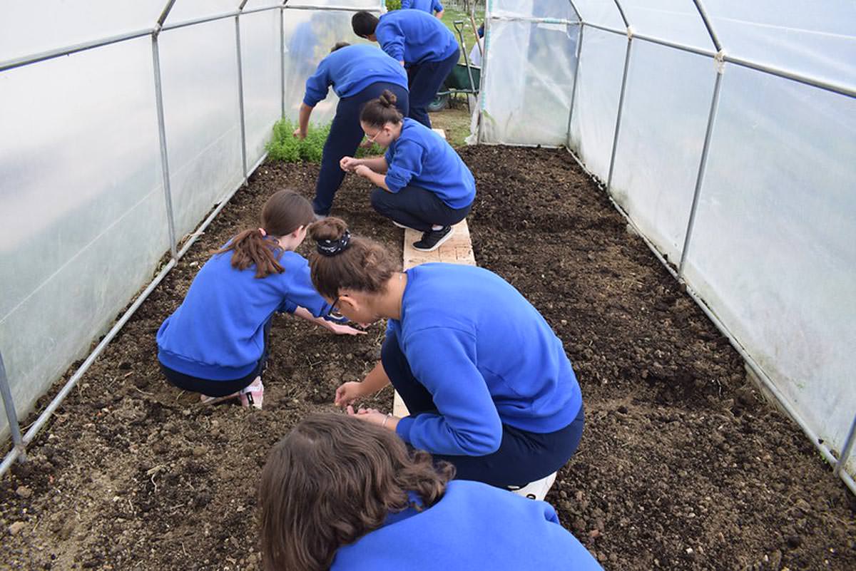 Μαθητές Σχολείου της Μητρόπολης Αργυροκάστρου καλλιεργούν και τυποποιούν ελιές