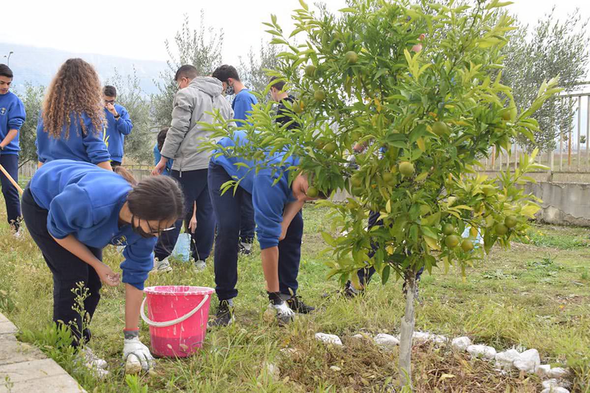 Μαθητές Σχολείου καλλιεργούν και τυποποιούν ελιές