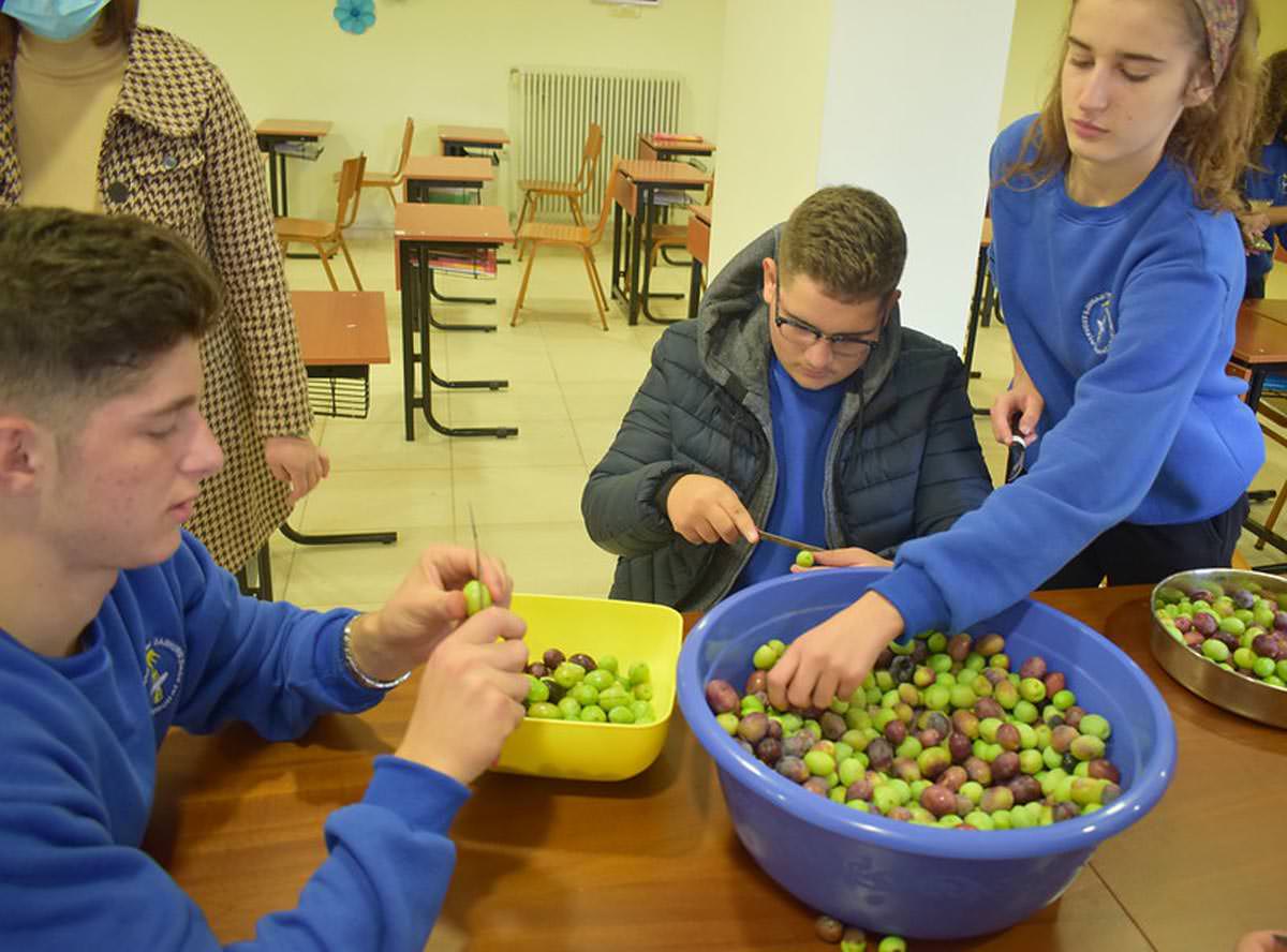 Μαθητές Σχολείου καλλιεργούν και καθαρίζουν ελιές