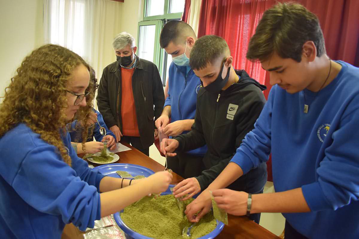 Μαθητές Σχολείου της Μητρόπολης Αργυροκάστρου τυποποιούν ελιές