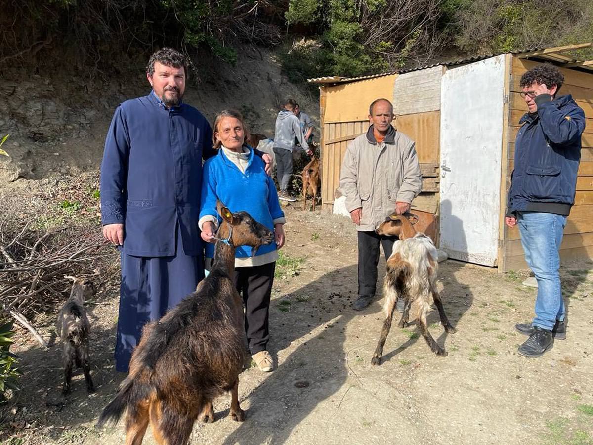 Δόθηκαν γίδες κατσίκια πρόβατα αρνιά και κοτόπουλα σε φτωχές οικογένειες από την Εκκλησία της Αλβανίας