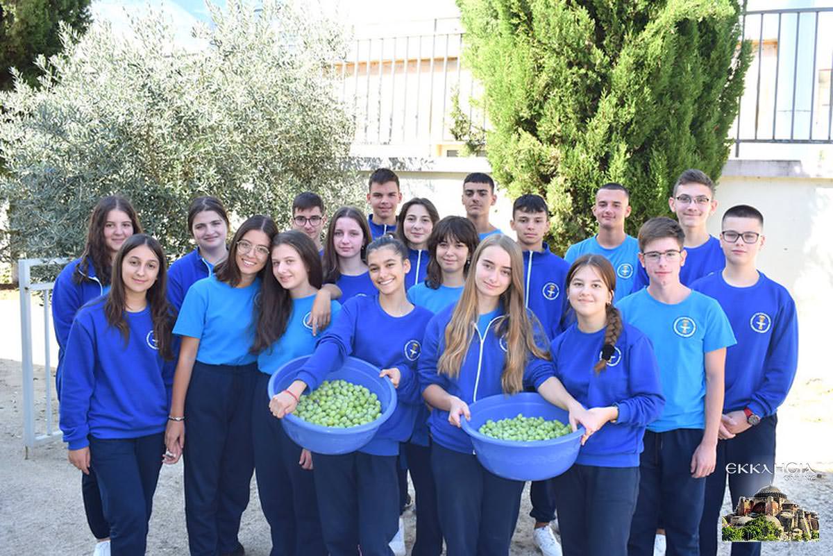 Μαθητές σχολείου της Μητρόπολης Αργυροκάστρου μάζεψαν ελιές