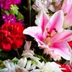 Γιορτή σήμερα Λουλούδια