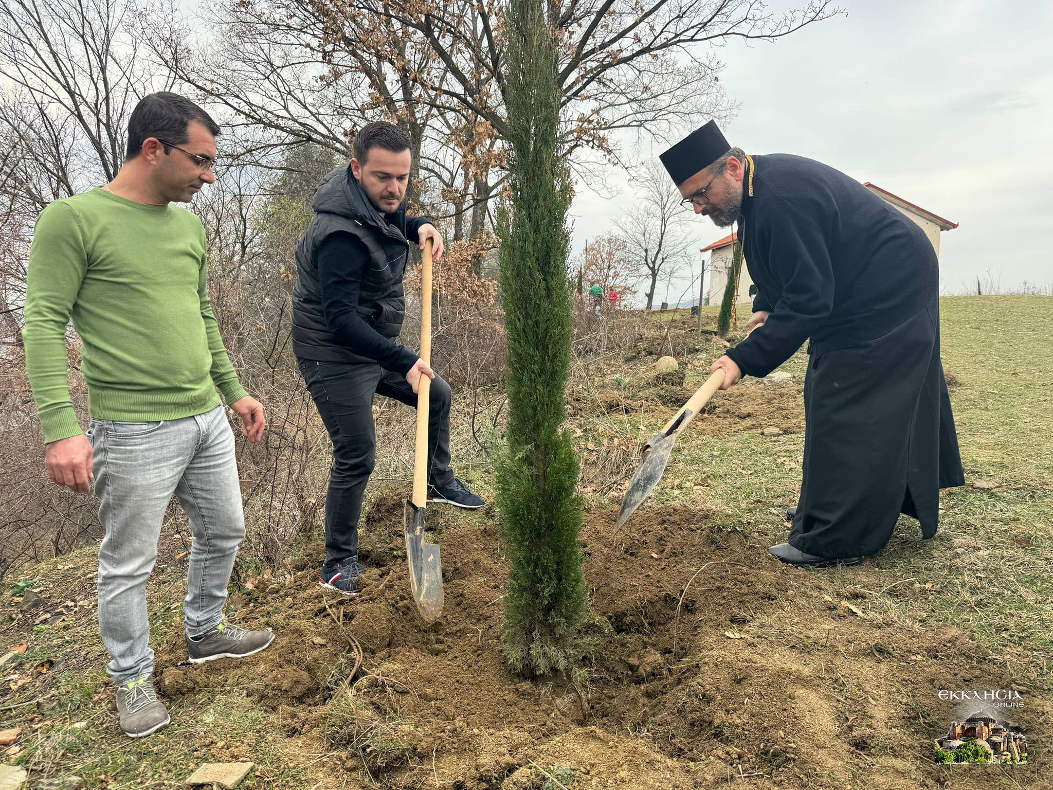 Φύτευση δένδρων Μητροπολίτης Ελμπασάν Αλβανίας