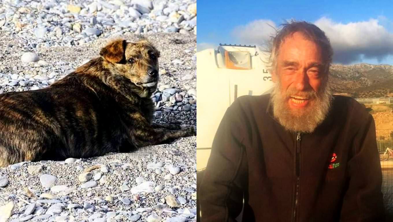 Μπέλλα σκύλος Γρηγόρης
