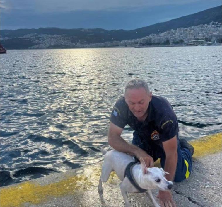 Καβάλα Σκύλος