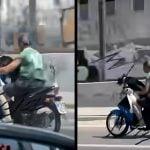 Σκύλος μηχανή