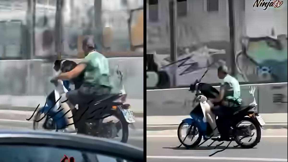 Σκύλος μηχανή